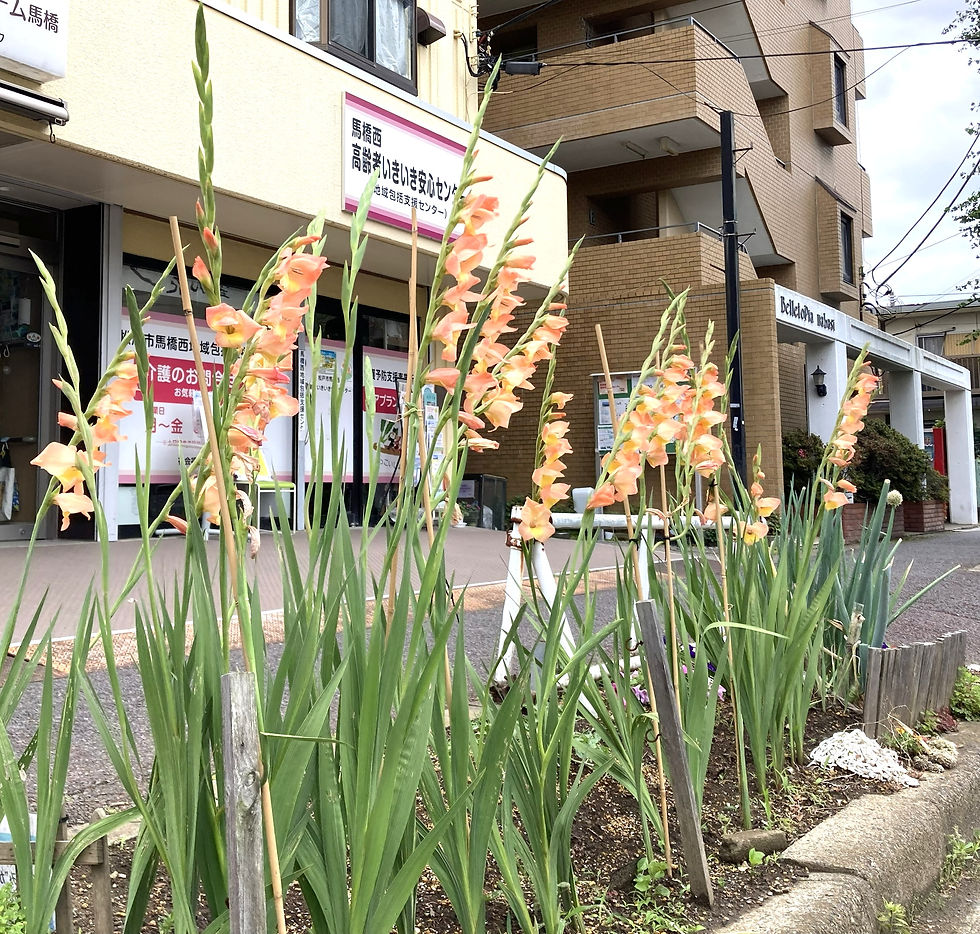 IMG_1308修正.jpg