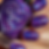 Thumbnail: 2025