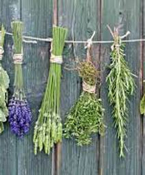 herbes etheriques 7.jpg