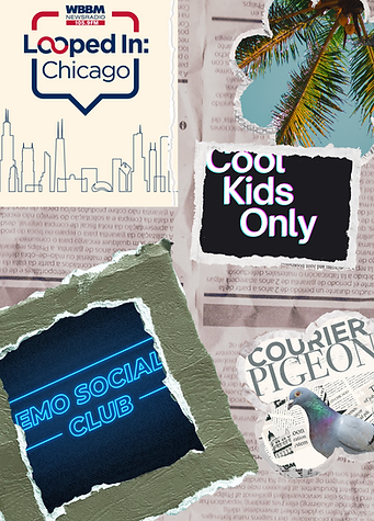 Blue nd Brown Retro Cutouts Photo Dump Collage Instagram Story.png