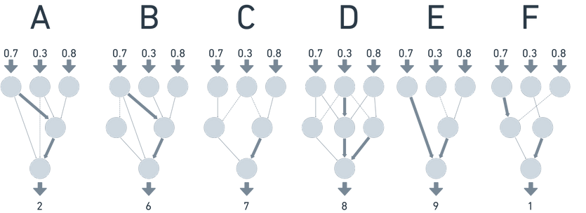 NEAT Networks.png