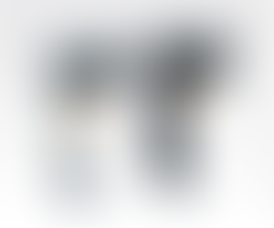 LS2208 setting 가이드