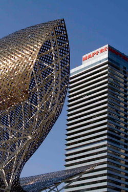 Rute Raposo  Arquitectura