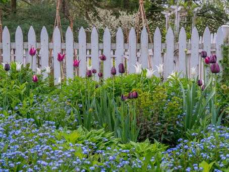 The Layered Garden: Inspiration for Spring