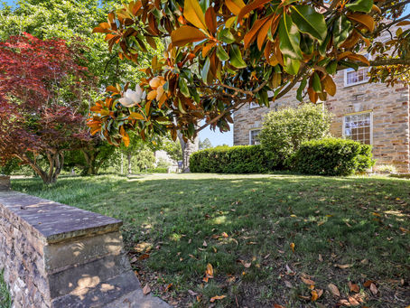 Create a Side Yard Oasis