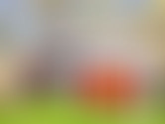 Statistics Show Now is a Good Time to Sell