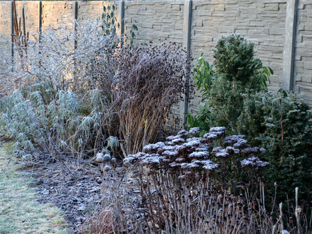 It's Not Too Late to Replant Your Landscaping
