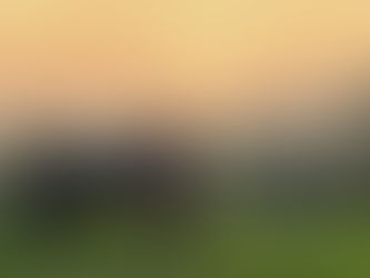 Daytrips and Activities Close to Home this Summer.