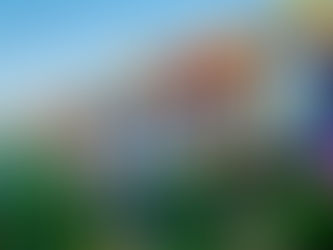 2021 Housing Trends in a Nutshell