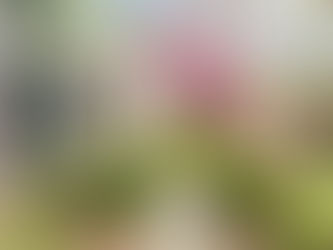 One-level Living Perfection in Picturesque Poplar Hill