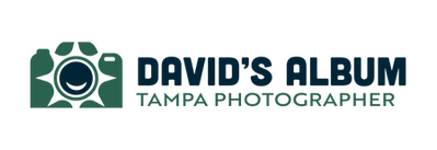 David'sAlbumLogos-11_edited.png