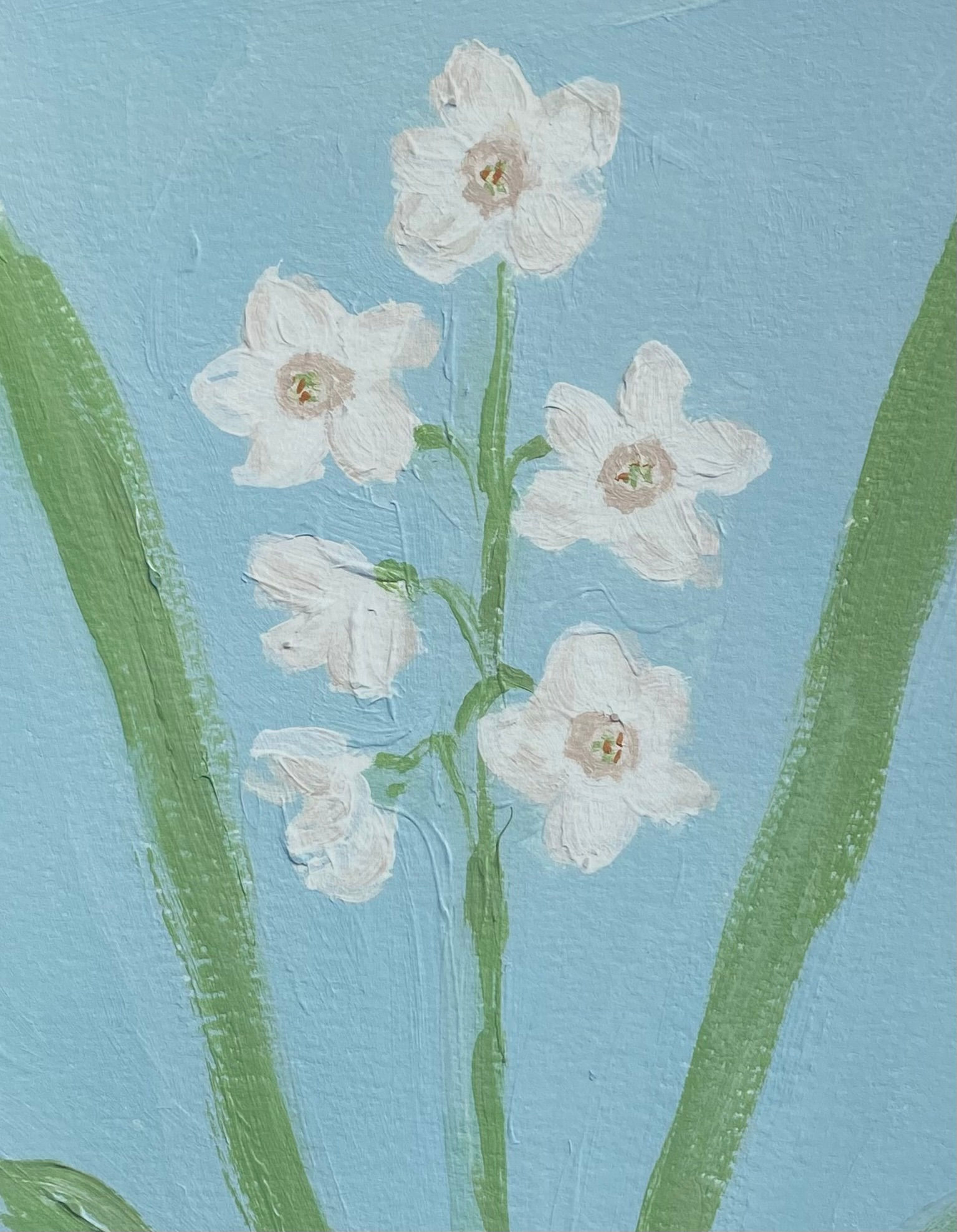 Paperwhite (December Birth Flower) - 11"x14" - Print