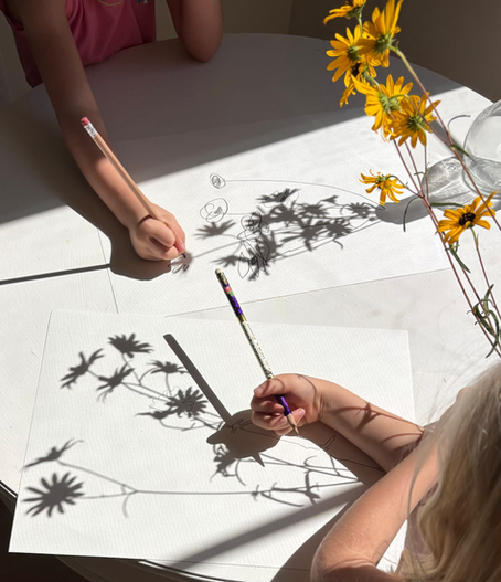 Wildflower Shadow Paintings – A Nature-Inspired Art Project Rooted in God’s Beauty