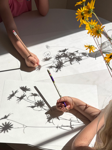 Wildflower Shadow Paintings – A Nature-Inspired Art Project Rooted in God’s Beauty