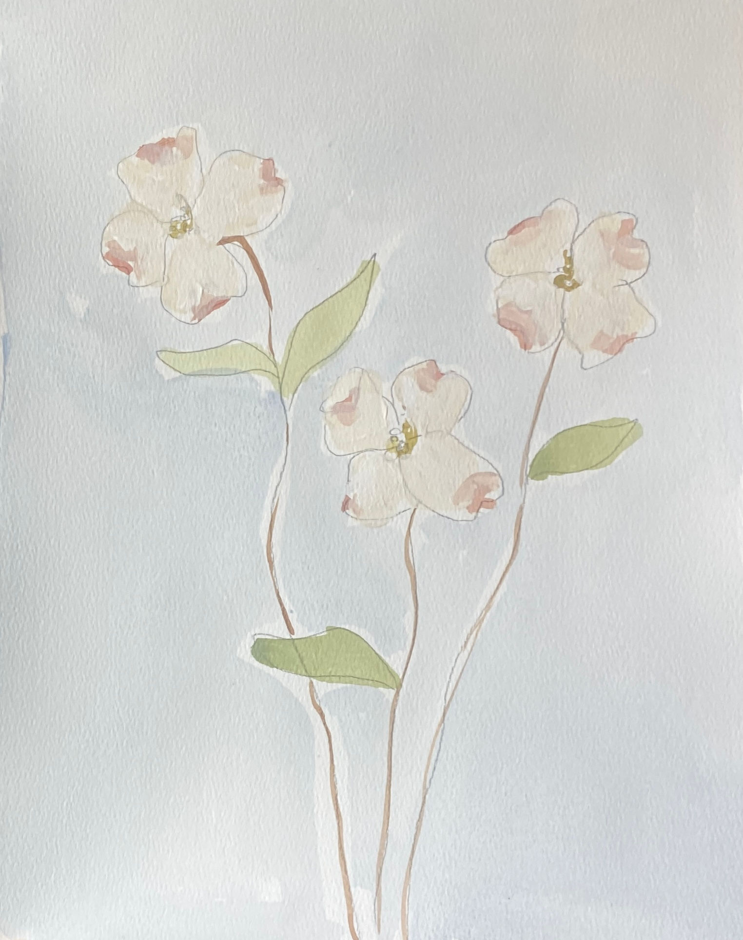 "Dogwood Blooms VII"