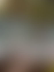 "To Everything there is a Season"- Fall Landscapes