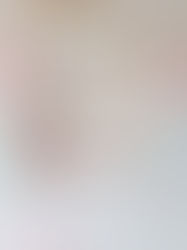 Delicate Botanicals Styled by Paperwhites Interiors