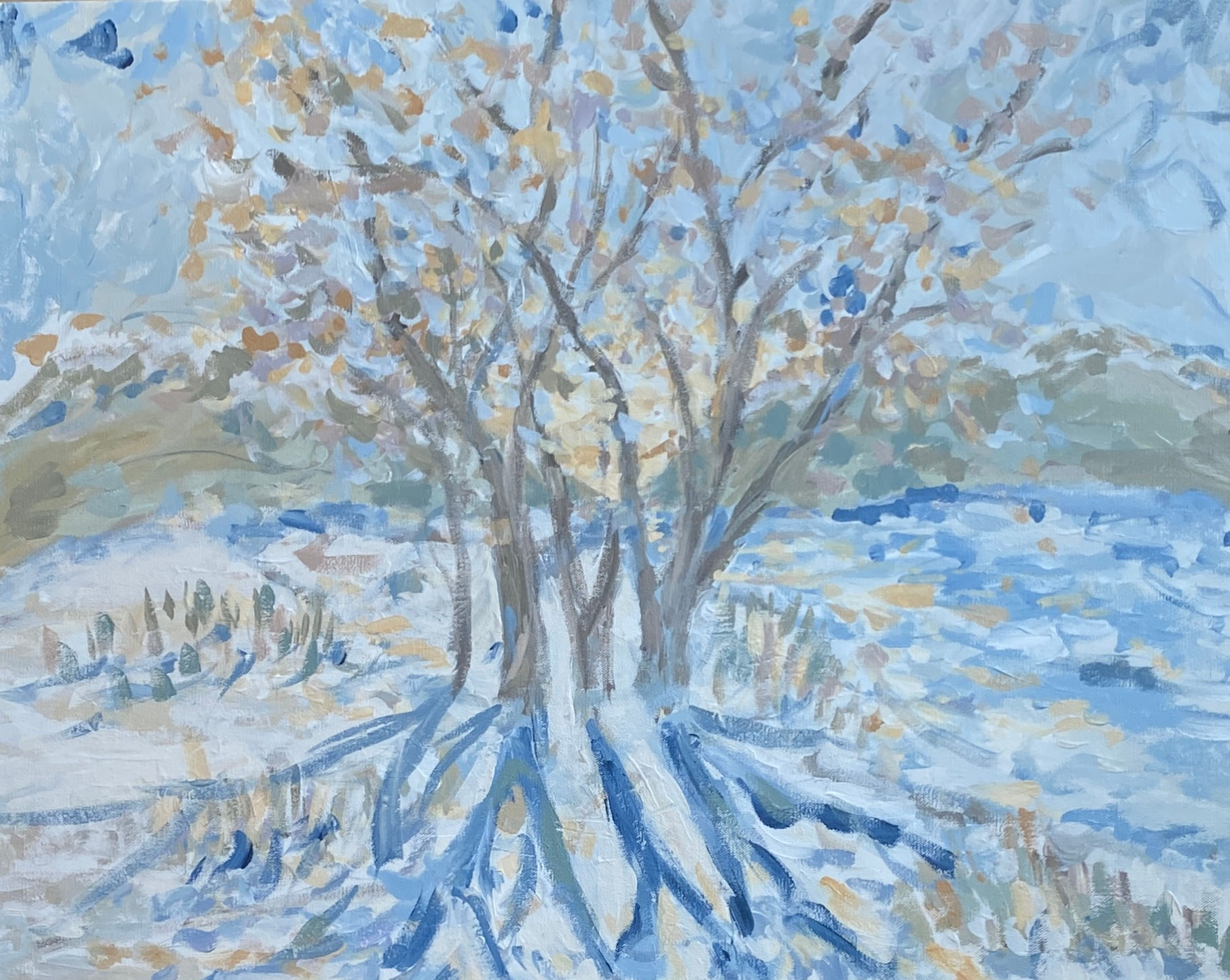 "Light Shining Through"