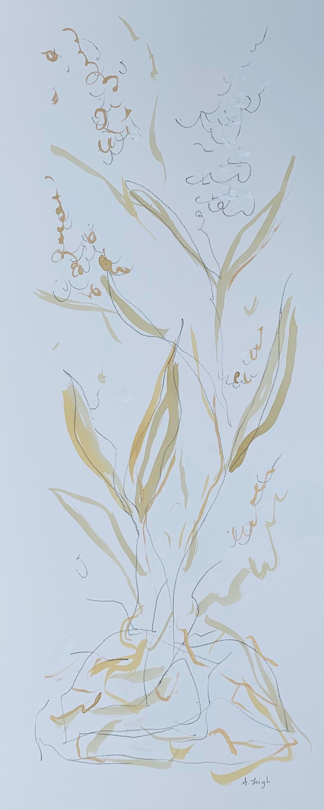 "Simple Botanical II"- 10x24 - Paper