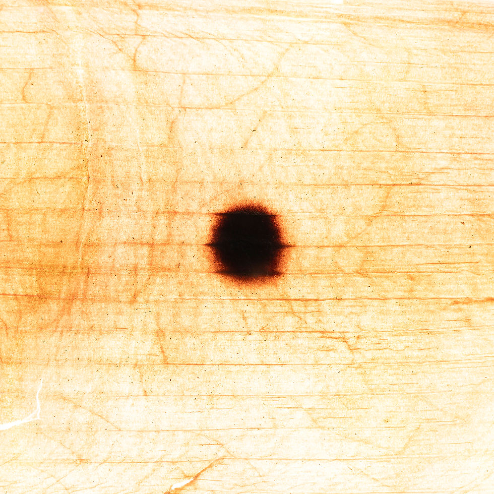 The Sun's selfie 0004