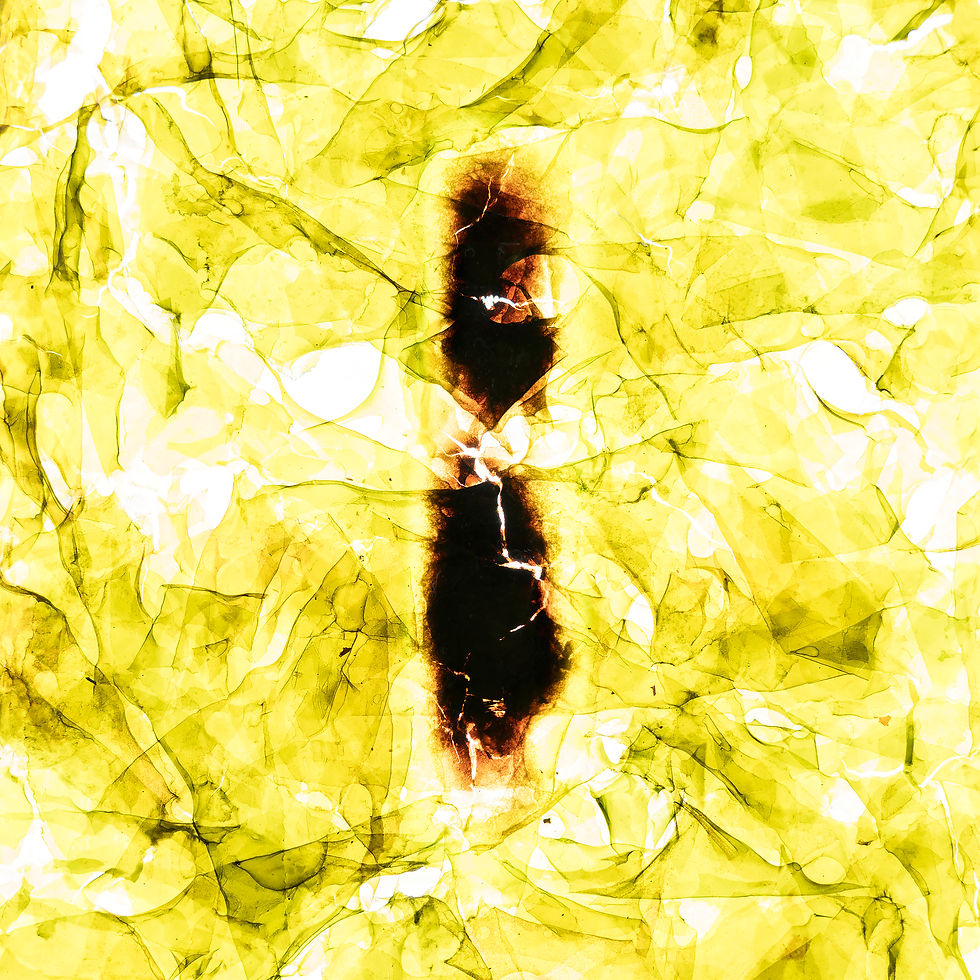 The Sun's selfie 0005