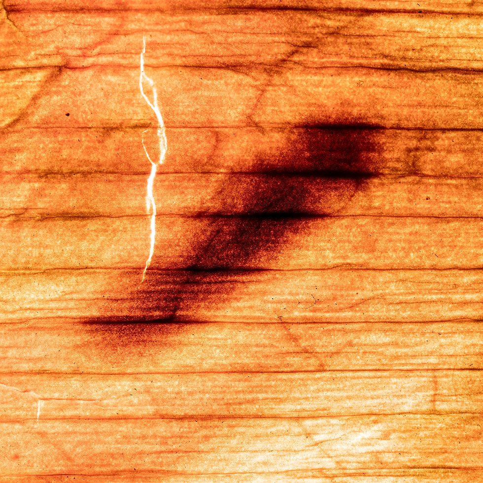 The Sun's selfie 0014