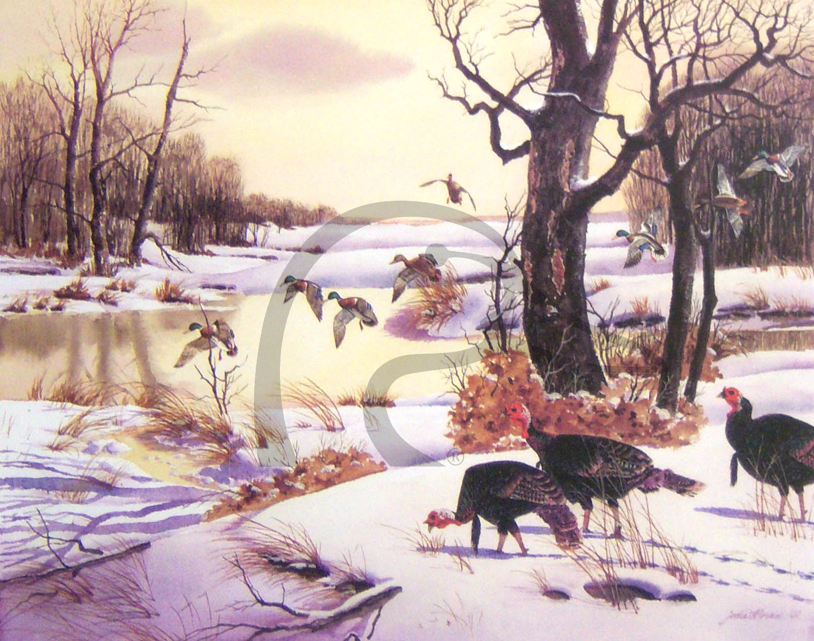 Texas Winter Residents and Guests