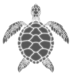 alpha (0-00-23-01).png