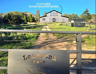 LEIALOHA FARM JULIAN - COMING SOON.jpg