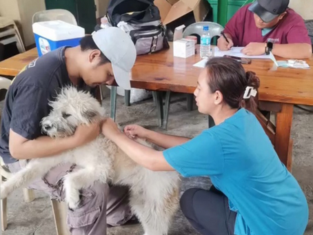 CVAO holds free anti-rabies vaccination drive in Guisad