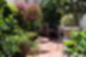 Terrasse par vert ambiance