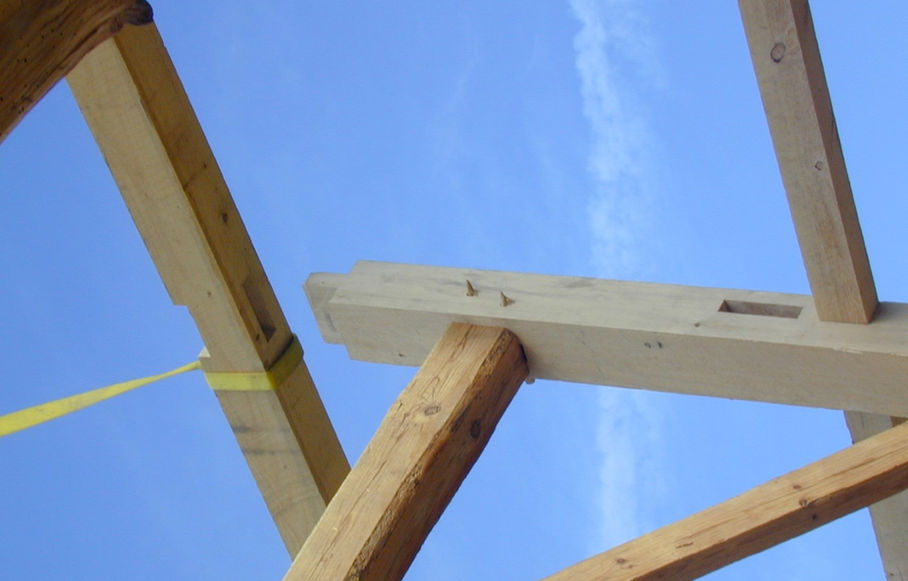 DSCN0149 (Large).JPG