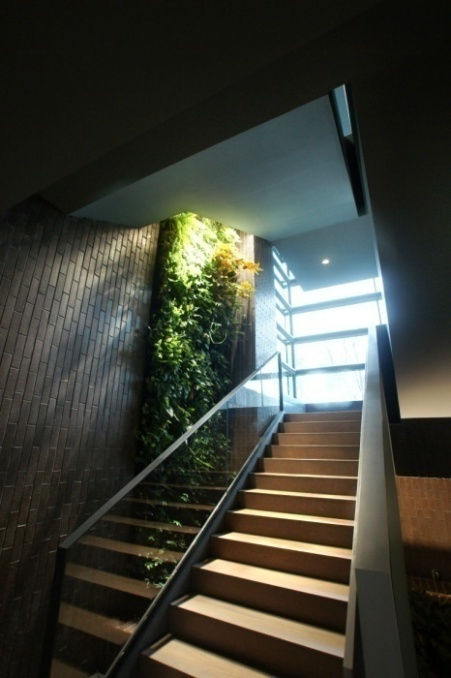Picture45.jpg