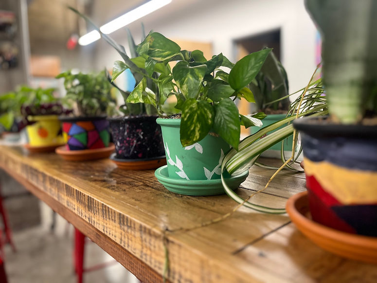 A row of 4 inch flower pots each painted with a different design. Taken at a flower pot painting workshop