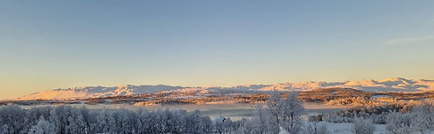 flott bilde frostrøyk brune oblå og orange toder_edited.jpg