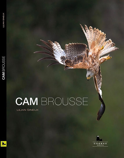 livre cambrousse lilian sineux