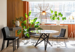 Heals-LigneRosetUK-18©AdrianRobinson