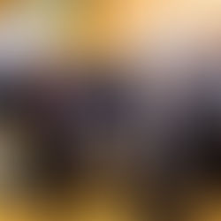 Klima und Mobilität in Krems 2019: Eine Veranstaltung zum Nachdenken und Handeln