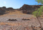 Circular stone shelters near the spring known in the past as Sixori, south-west of Sesfontein. For shelter they would have been covered with foliage from Petalidium spp. known as ||ôna (photo: Sian Sullivan, 080315).