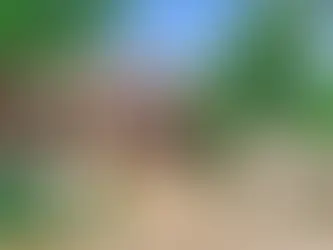 New house in new city