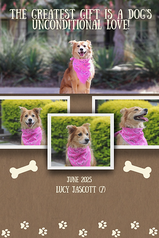 Lucy Postcard .png.PNG