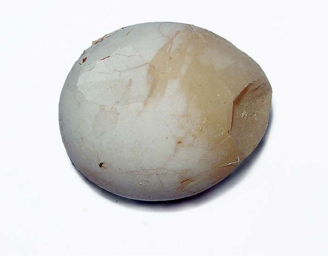 Thin shell