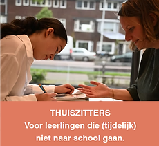 Thuiszitters logo.png