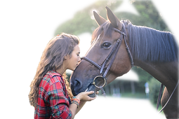 Frau mit Pferd ohne Hintergrund