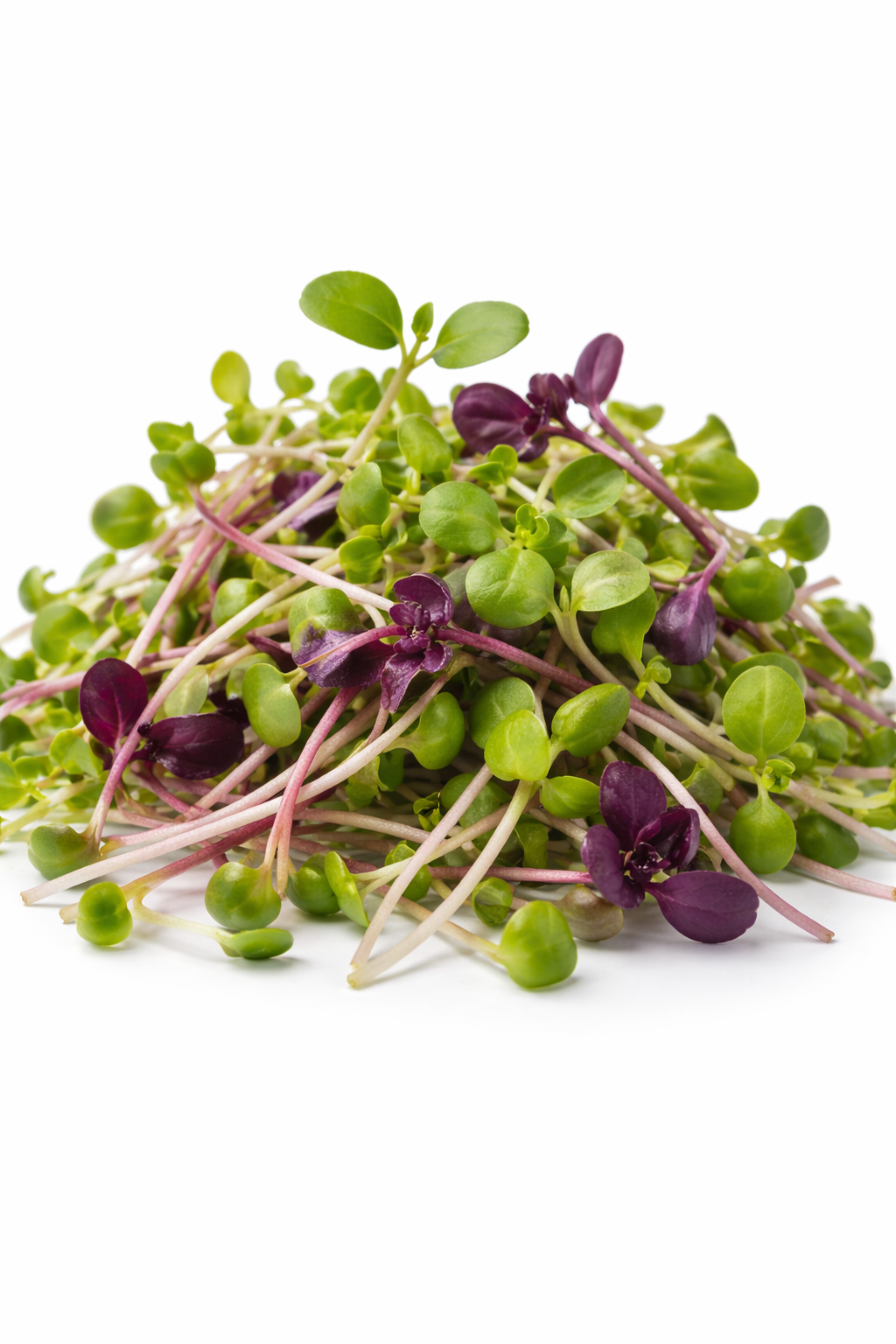 Micro Herb