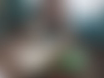 Science Investigations - Click picture to see our scientist at work.