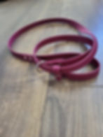 Thumbnail: Slip leash
