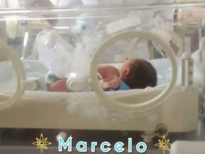 "El duelo no es una fase, quienes perdimos un ser querido, aprendemos a vivir" 
Danuska Maurera