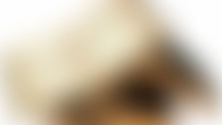 НОВЕ СТРУЧНЕ КЊИГЕ