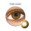 Thumbnail: FRESHLOOK AIR OPTIX COLORS - PURE HAZEL
